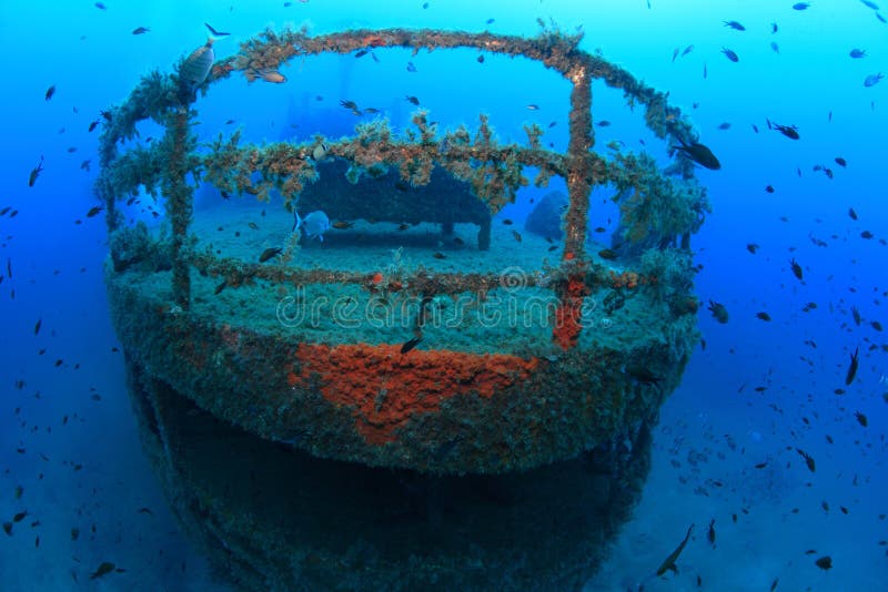 Shipwreck and fish in the deep waters of the mediterranean sea. Shipwreck and fish in the deep waters of the mediterranean sea