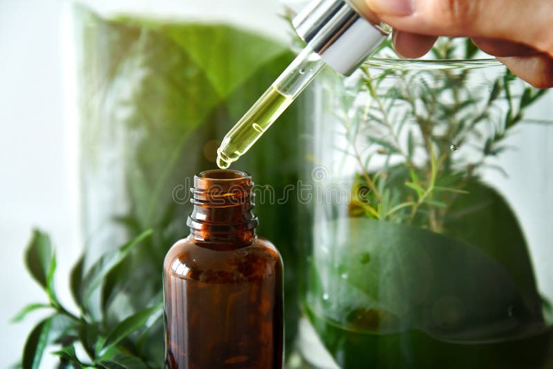 Naukowiec z naturalnym leka badaniem, Naturalną organicznie botaniką i naukowym glassware, alternatywy zielona zielarska medycyna
