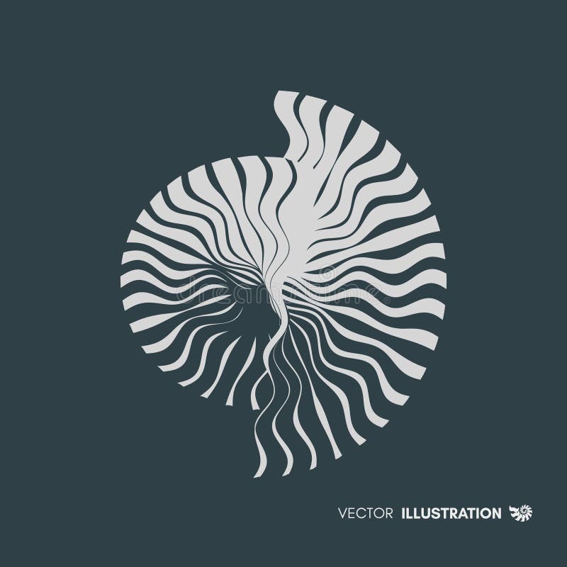Nautilus shell. Abstract design element. 3D vector illustration.