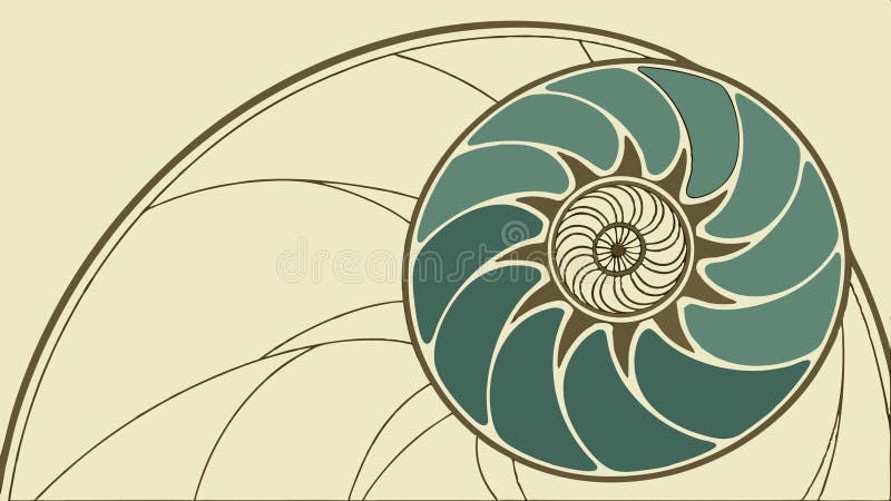 Nautilus shell cross,section golden ratio spiral design vector design Generative AI vector illustration