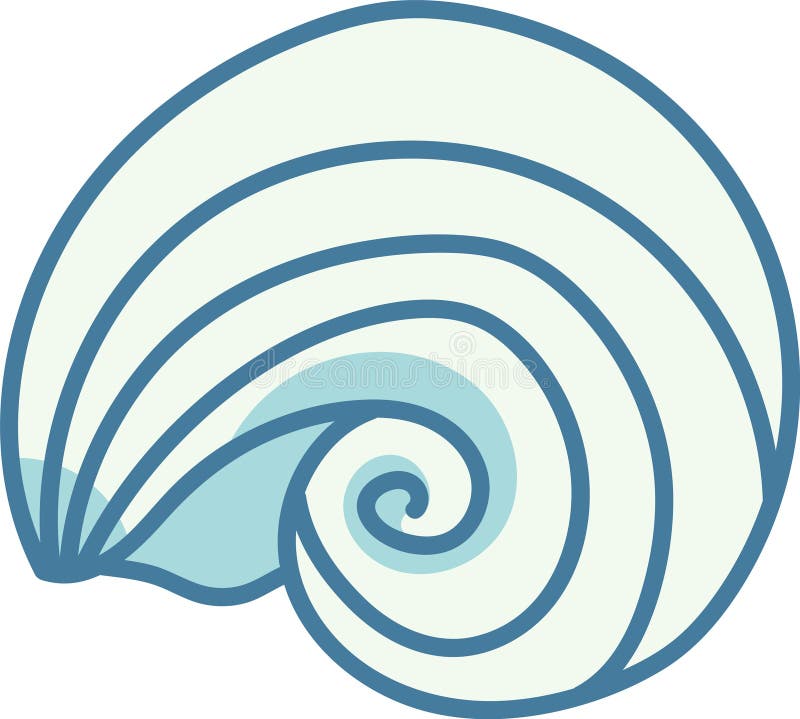 Nautilus Shell Drawing vector illustration