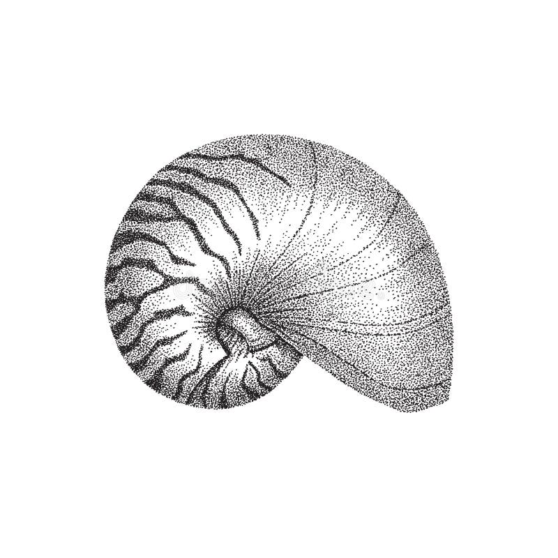 Nautilus shell dotwork art stock illustration