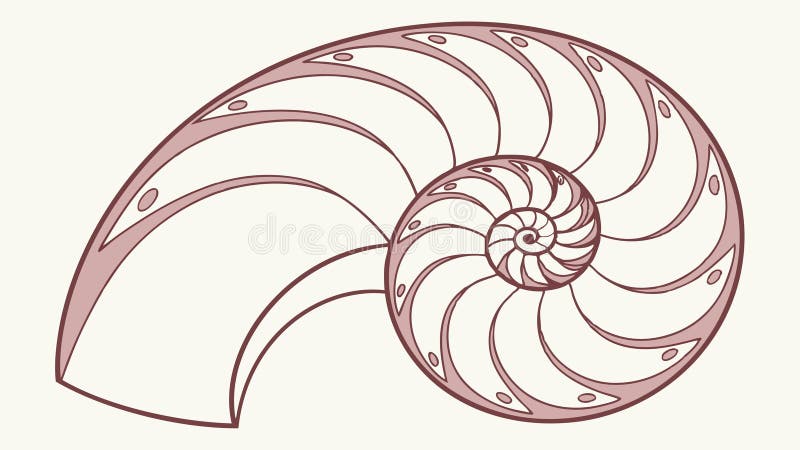 Nautilus Shell Illustration, Marine Life Fossil Vector, vector design Generative AI vector illustration