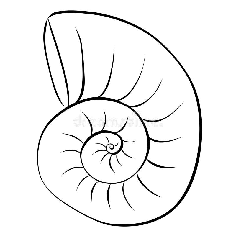 Nautilus shell illustration. Vector graphic line ink icon. isolated on transparent background for package, kitchen design, fabric royalty free illustration