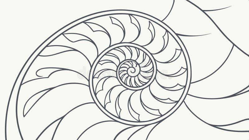 Nautilus shell natural spiral abstract geometry vector design Generative AI royalty free illustration