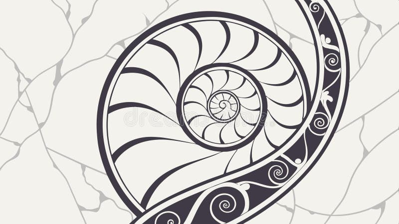 Nautilus shell section, Fibonacci sequence vector design Generative AI. Mathematical nautilus shell section vector design, showcasing Fibonacci sequence, nature s patterns, and scientific beauty in illustrations vector design Generative AI