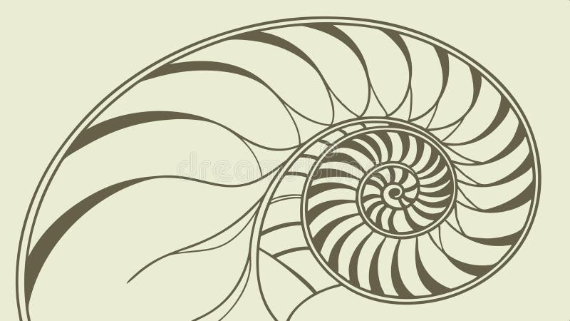 Nautilus shell spiral cutaway, spiral natural geometry vector design Generative AI vector illustration