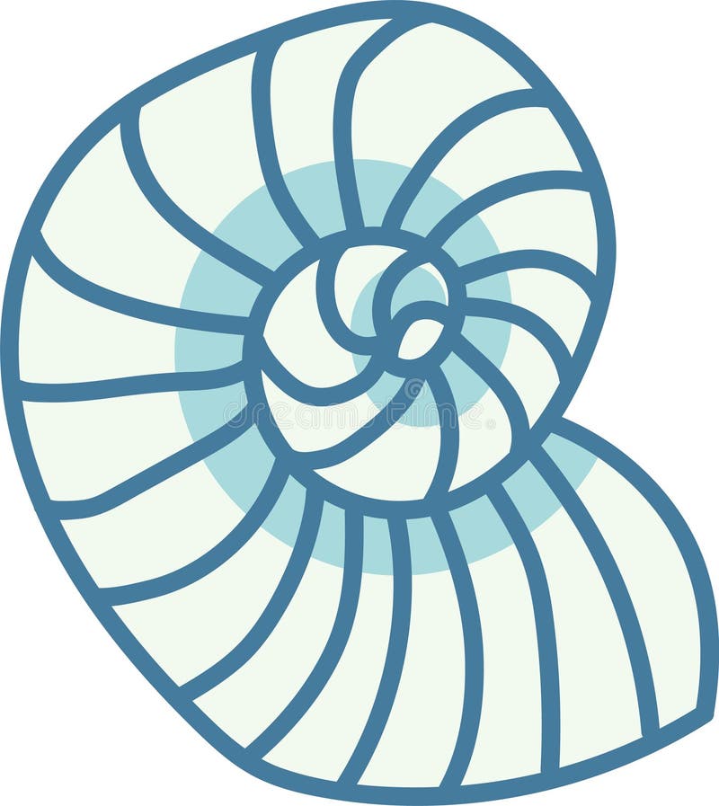 Nautilus Shell Spiral vector illustration