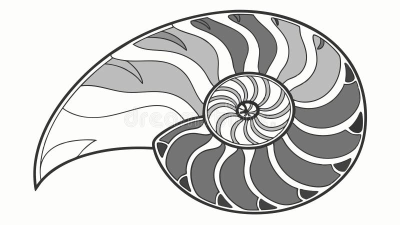 Nautilus Shell Spiral Line Art Marine Fossil vector design Generative AI stock illustration