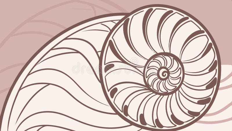 Nautilus shell spiral, nature, sea, ocean, shell, nautilus, spiral, marine vector design Generative AI vector illustration