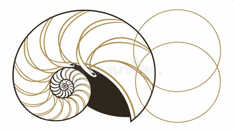 Nautilus shell spiral pattern, Fibonacci spiral, shell pattern, natural spiral, shell design vector design Generative AI stock illustration