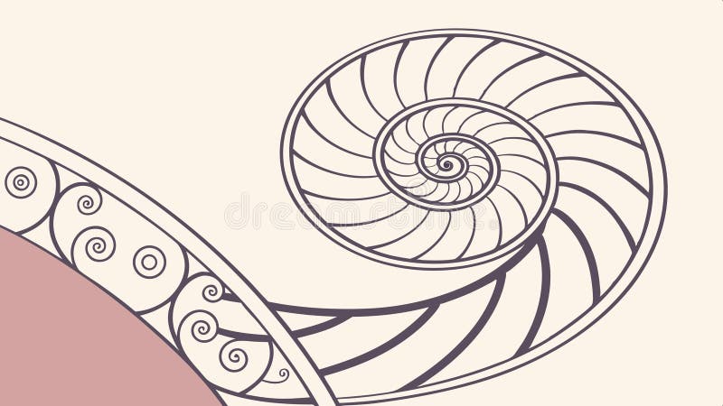 Nautilus shell spiral pattern, Fibonacci nature vector design Generative AI royalty free illustration