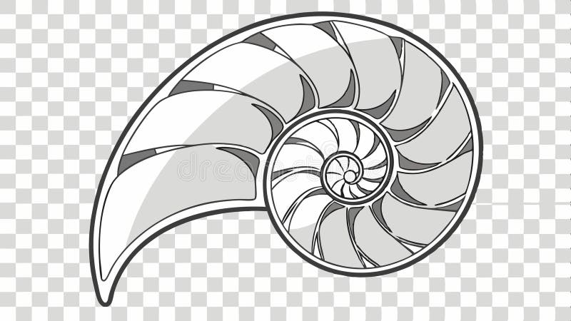 Nautilus shell spiral pattern, nautilus shell and nature pattern vector design Generative AI stock illustration