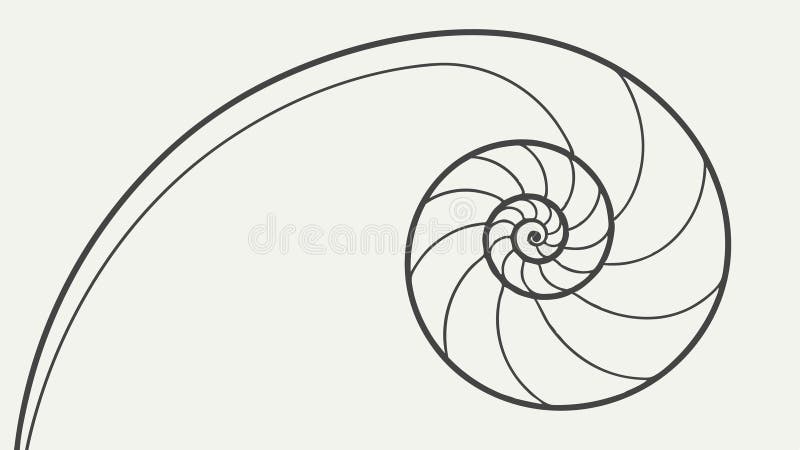 Nautilus Shell Spiral. Sacred Geometry Growth, vector design Generative AI stock illustration