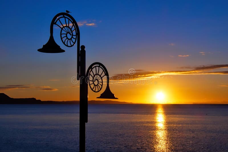 Nautilus Sunrise At Lyme Regis