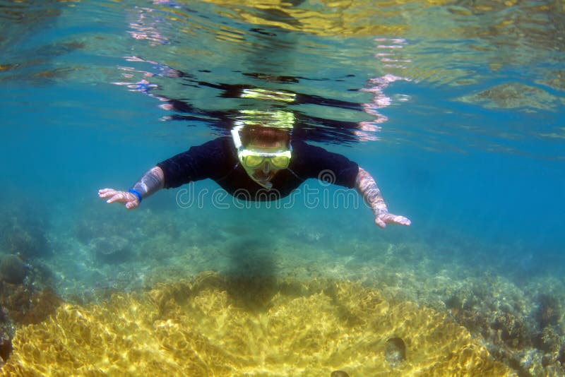 Naviguer au schnorchel sur la Grande barrière de corail images stock Naviguer au schnorchel sur la Grande barrière de corail images stock
