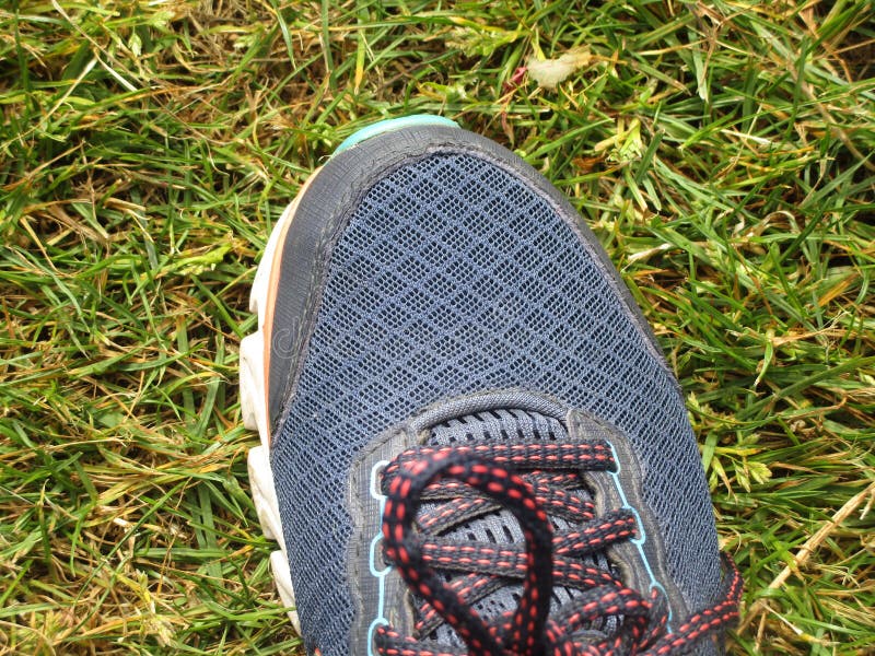 Blue sneaker stepping on green grass close up. Navy blue sneaker shoe stepping on garden green grass ground, June 2019 royalty free stock photo Blue sneaker stepping on green grass close up. Navy blue sneaker shoe stepping on garden green grass ground, June 2019 royalty free stock photo