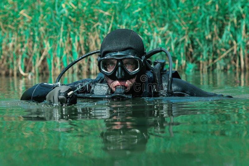 Navy SEAL frogman stock photo. Image of frogmen, army - 81939594