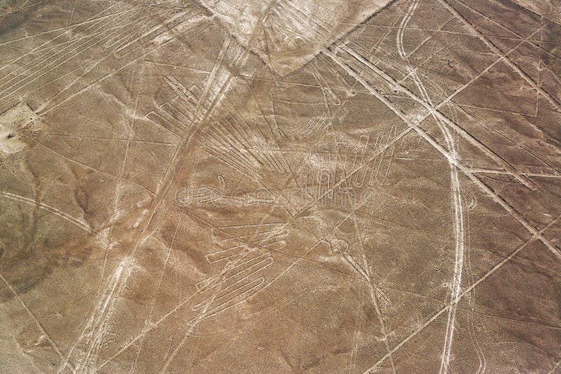 Nazca Lines Condor