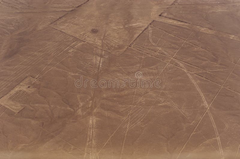 Nazca Lines and geoglyphs