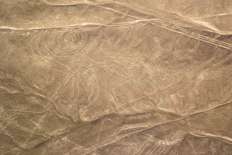 Nazca raye le désert péruvien