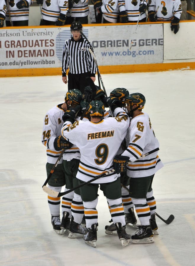 Hockey celebration editorial stock image. Image of sport 23204319