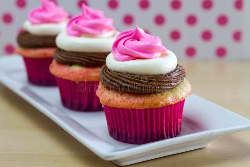 2 Neapolitan frosted cupcakes on square white plate with pink polka dot background. 2 Neapolitan frosted cupcakes on square white plate with pink polka dot background