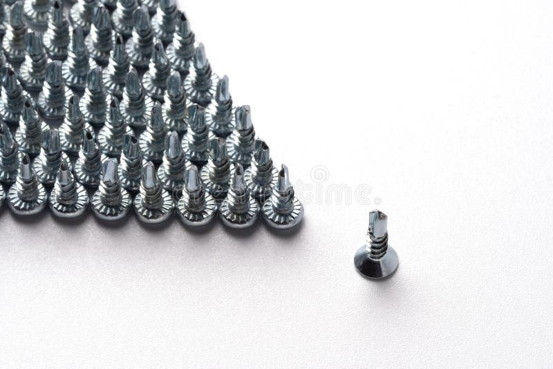 Neatly arranged screws in a row self-tapping screws. vector illustration