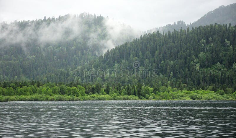 Nebel abwärts des Hanges eines hohen Berges überwuchert mit Nadelwald am Ufer eines großen Sees lizenzfreies stockbild