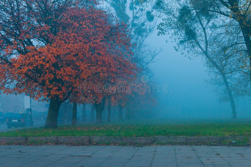 Nebel in Gdansk-Stadt stockfotografie Nebel in Gdansk-Stadt stockfotografie