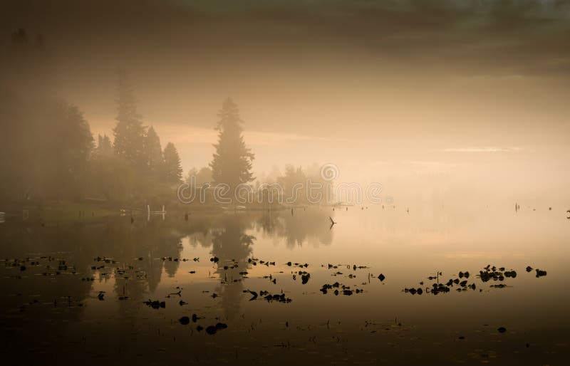 A foggy sunset and beautiful reflections on a lake. A foggy sunset and beautiful reflections on a lake.