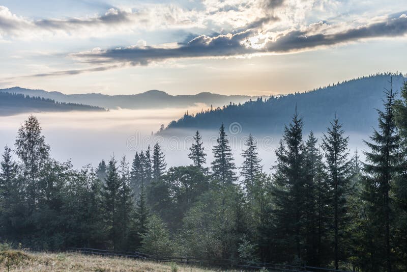 Fog over mountain range in sunrise light. Morning sun rays through the fog over mountain slopes, covered with spruce forest. Fog over mountain range in sunrise light. Morning sun rays through the fog over mountain slopes, covered with spruce forest.