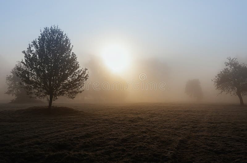 Nebelhafte Herbstdämmerung stockfotografie Nebelhafte Herbstdämmerung stockfotografie