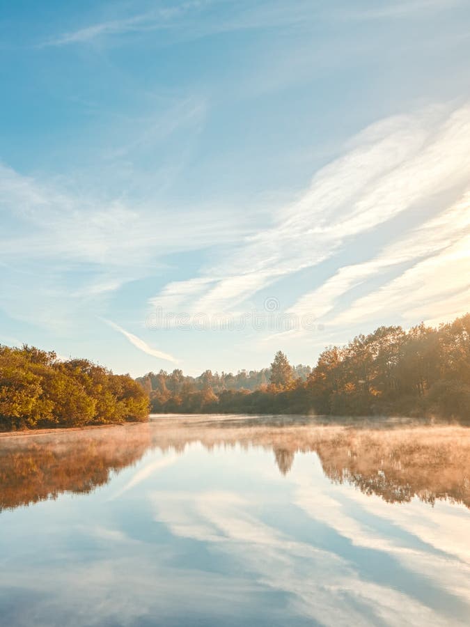 Nebelhafter Morgen des Herbstes Herbstdämmerungsszene Alden-Bäume auf nebeligem Riverbank Nebelhafter Herbst-Strom stockbilder Nebelhafter Morgen des Herbstes Herbstdämmerungsszene Alden-Bäume auf nebeligem Riverbank Nebelhafter Herbst-Strom stockbilder