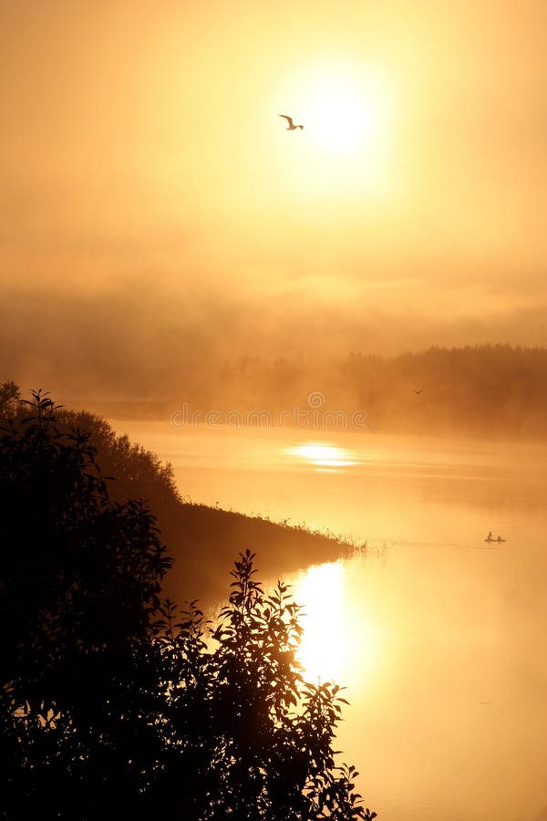 Nebelige Dämmerung auf dem Fluss stockbilder Nebelige Dämmerung auf dem Fluss stockbilder