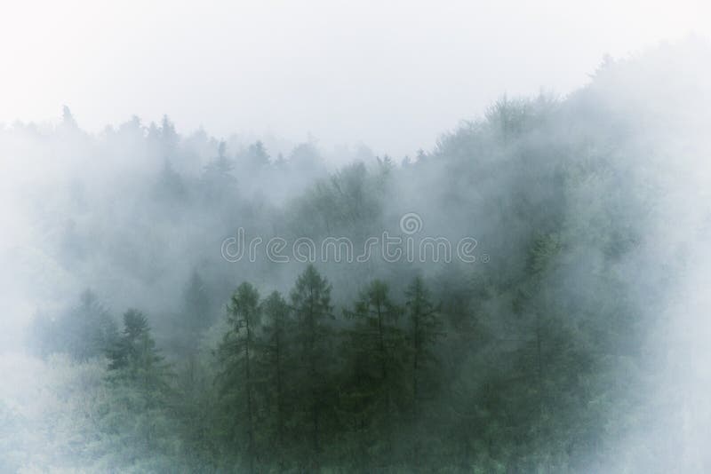 Nebelige Landschaft der Weinlese, Wald mit Wolken