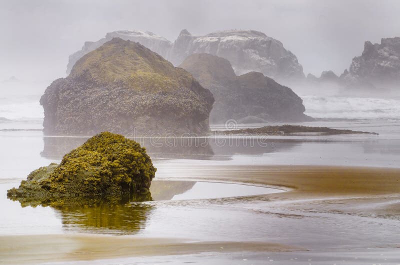 Nebelige Oregon-Küste