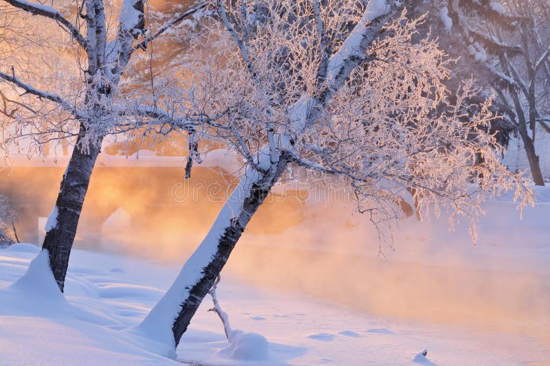 Nebelige Winter-Landschaft