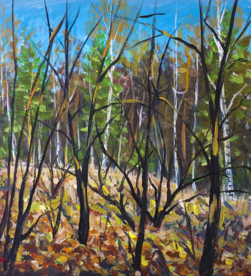 Nebeliger Baum Des Herbstwald a Ohne Laub Ist Ein Baum