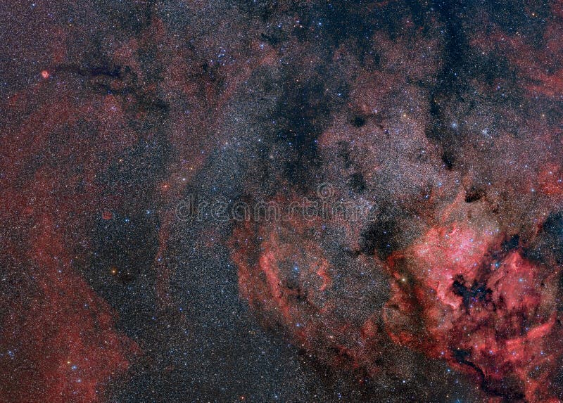 The Nebulosity of Cygnus