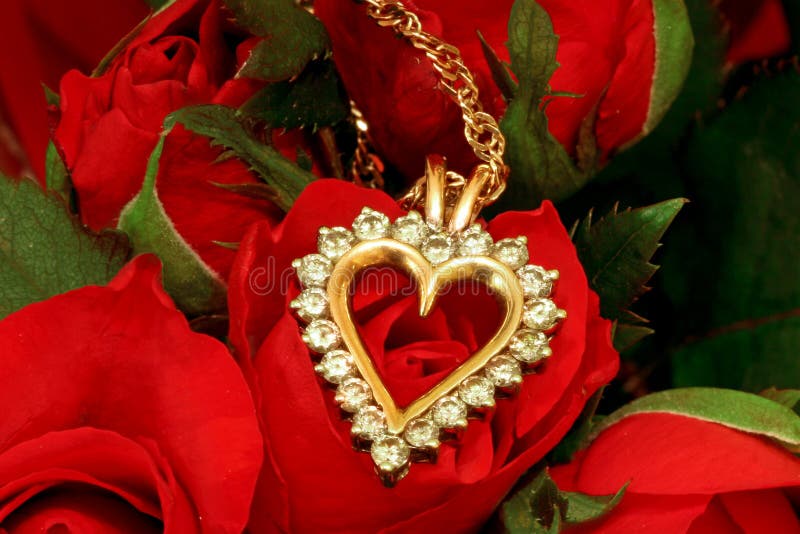 Necklace on red rose