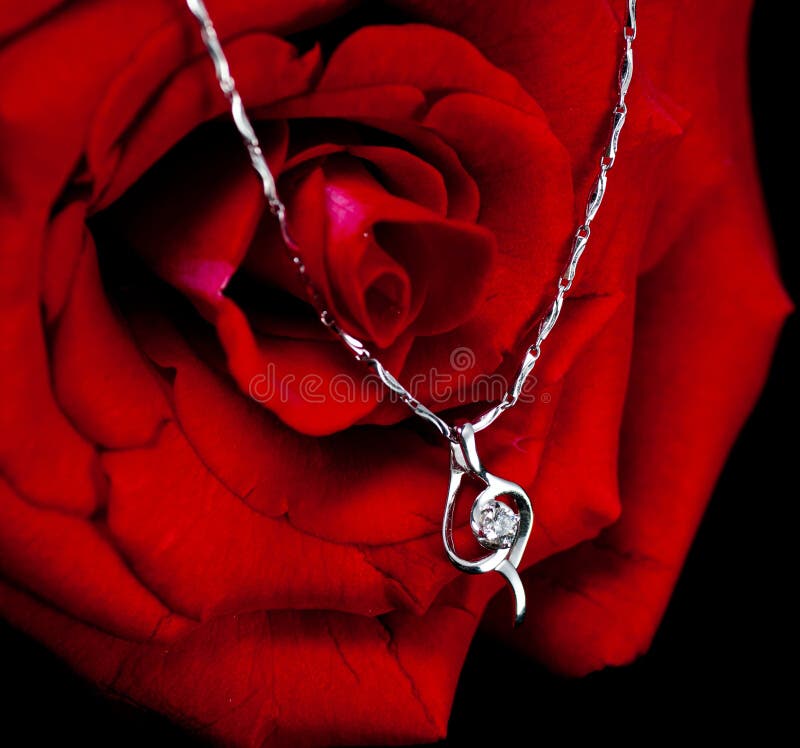 Necklace and rose