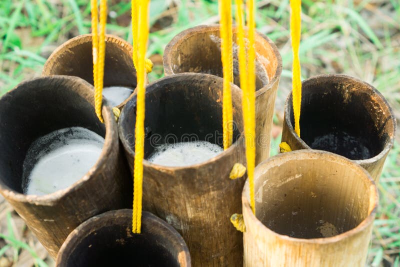 Nectar from sugar palm in bamboo. Folk way. Hang with yellow rope. royalty free stock photography Nectar from sugar palm in bamboo. Folk way. Hang with yellow rope. royalty free stock photography