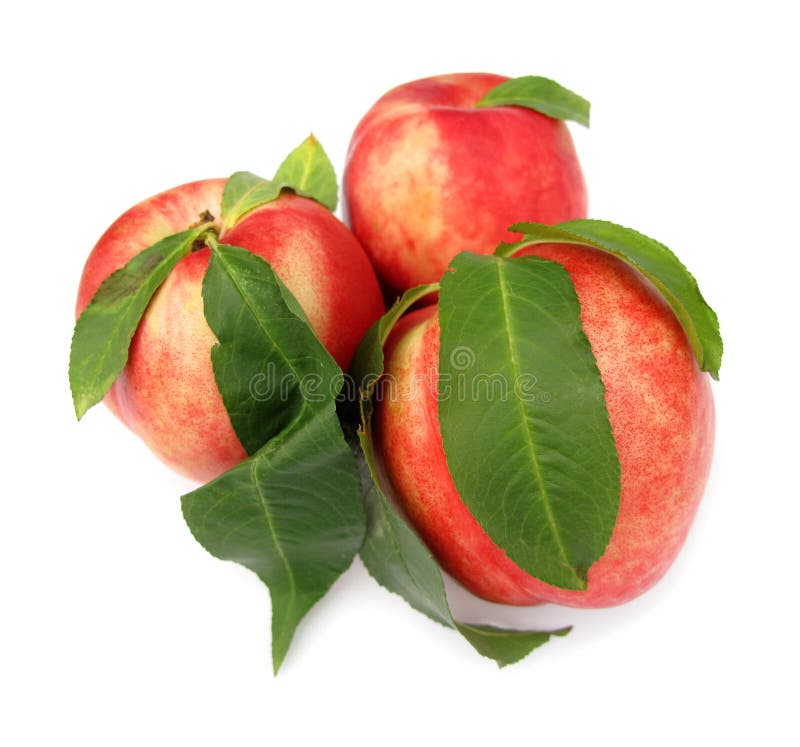 Nectarine