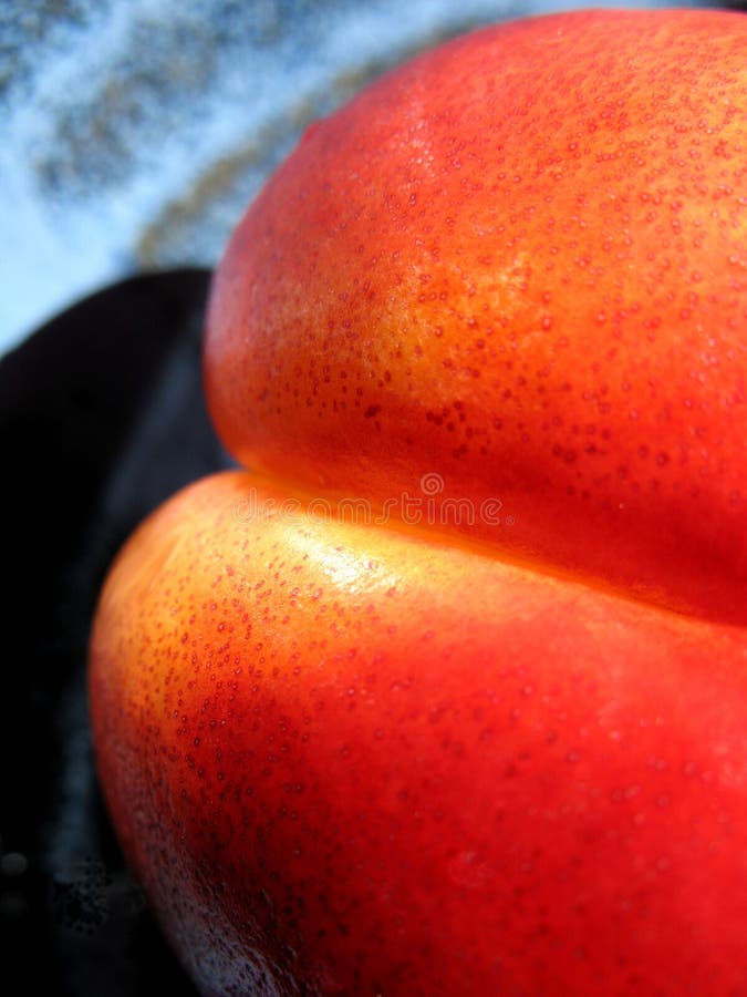 Nectarine stock photo. Image of warm, delicious, flesh 1515234