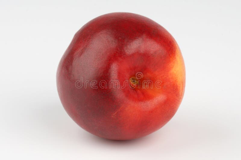 Nectarine