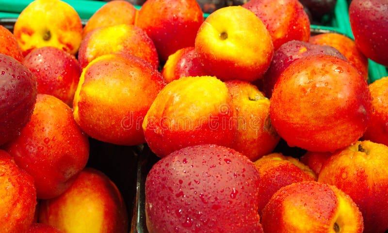 nectarine fruit royalty free stock images nectarine fruit royalty free stock images