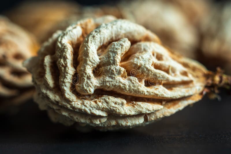 Nectarine Fruit Stone Seed Closeup Stock Image Image of colorful