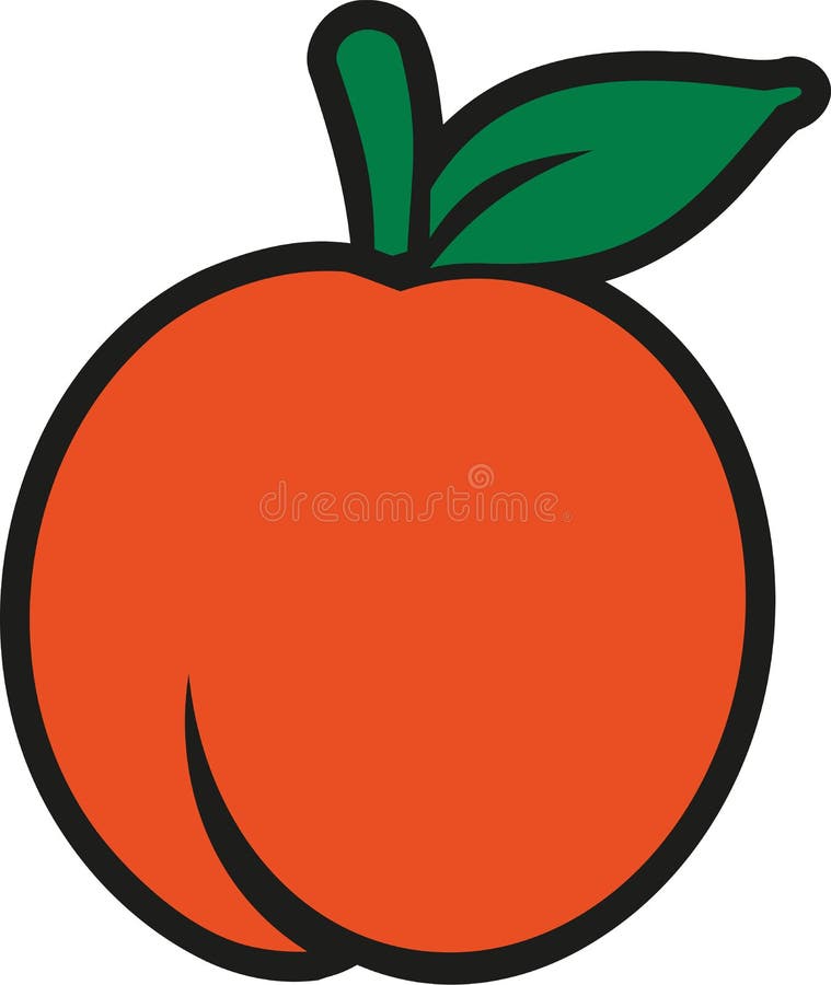 Nectarine Fruit Drawing, Half Nectarine with Bone. Watercolor