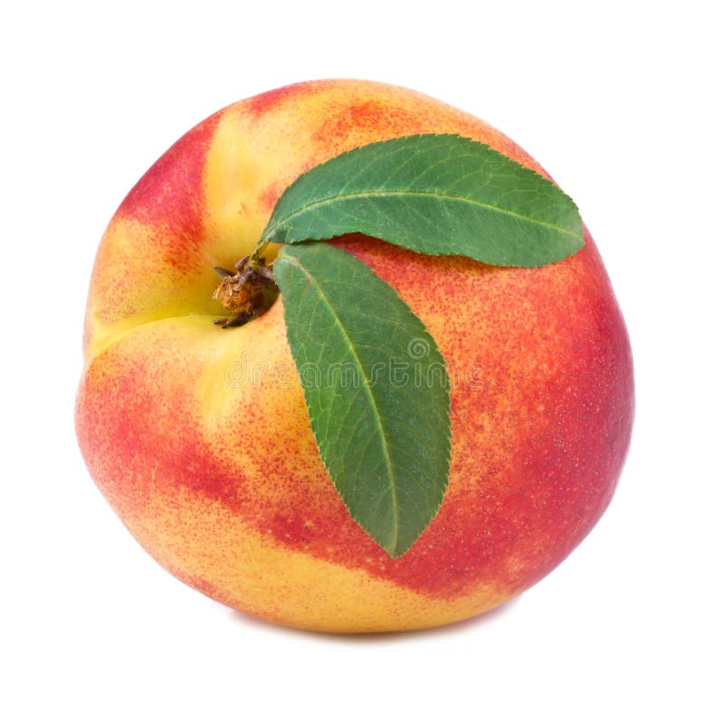 Nectarine or Peach in Close Up Stock Photo Image of cake, culinary